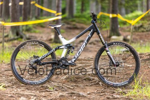 Norco Aurum scheda tecnica e recensioni